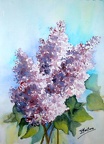 DSCF1704 lilas 1