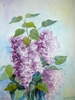 DSCF1705 lilas