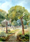 DSCF0184pinar